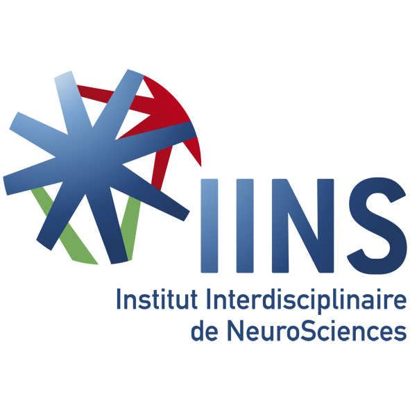 logo collaborator IINS