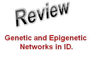 reference to review Hans 2011